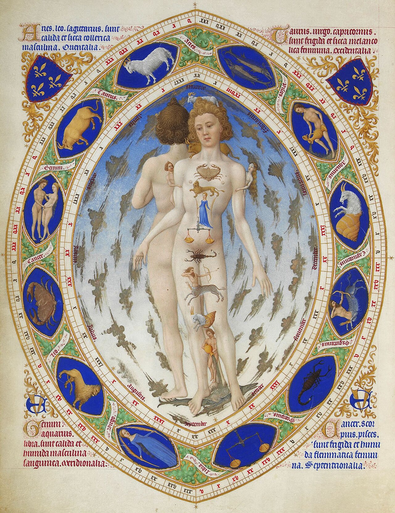 L'« homme zodiacal » des Très Riches Heures du duc de Berry (~1416) : chaque signe gouverne une région du corps, héritage direct de la médecine astrologique. Frères de Limbourg, domaine public.